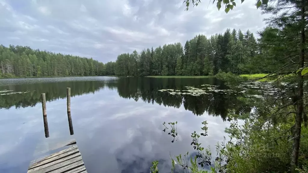 Дом в Карелия, Пряжинский район, Чалнинское с/пос, Геолог СНТ  (45 м) - Фото 0