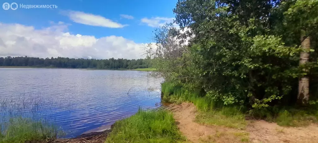 Дом в Чалнинское сельское поселение, СНТ Сигнал-1 (50 м) - Фото 1