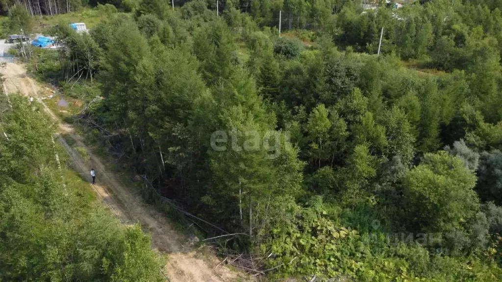 Участок в Сахалинская область, Южно-Сахалинск Здоровье СНТ,  (9.5 ... - Фото 1