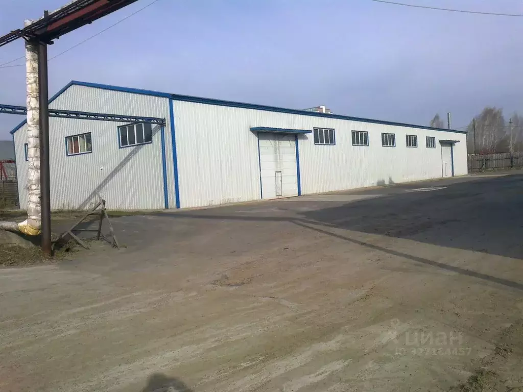 Помещение свободного назначения в Томская область, Томск ул. Мичурина, ... - Фото 2