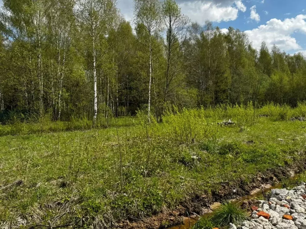 Участок в Московская область, Дмитровский муниципальный округ, Раменье ... - Фото 1