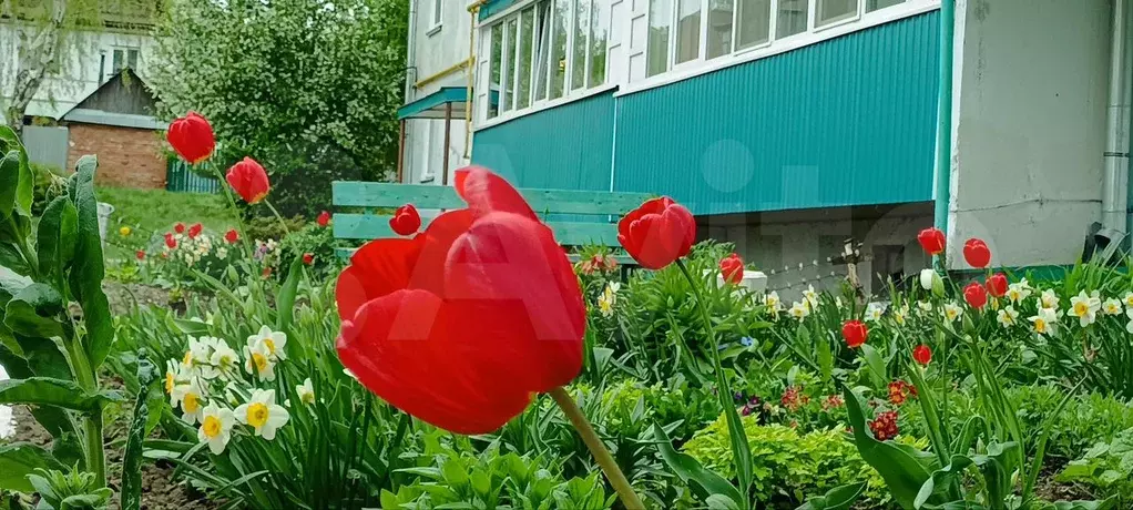 1-к. квартира, 30 м, 2/4 эт. - Фото 0