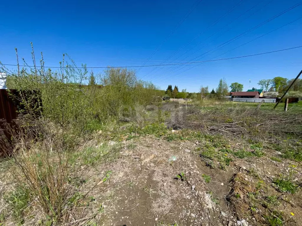 Участок в Вологодская область, д. Кирики-Улита ул. Еловая (13.5 сот.) - Фото 2