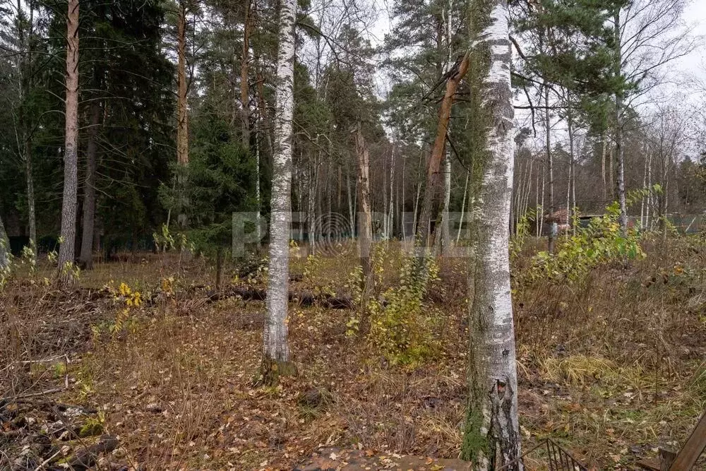 Участок в Московская область, Красногорск городской округ, д. ... - Фото 1