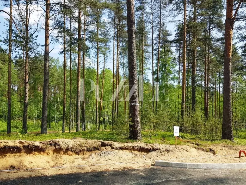 Участок в Ленинградская область, Приозерский район, Раздольевское ... - Фото 0