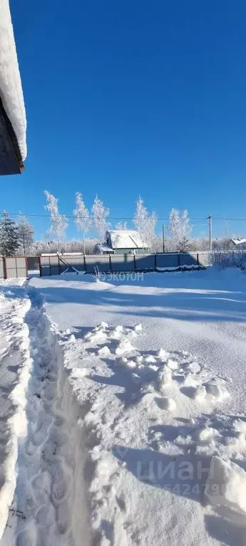Участок в Ленинградская область, Кировский район, Синявинское ... - Фото 2