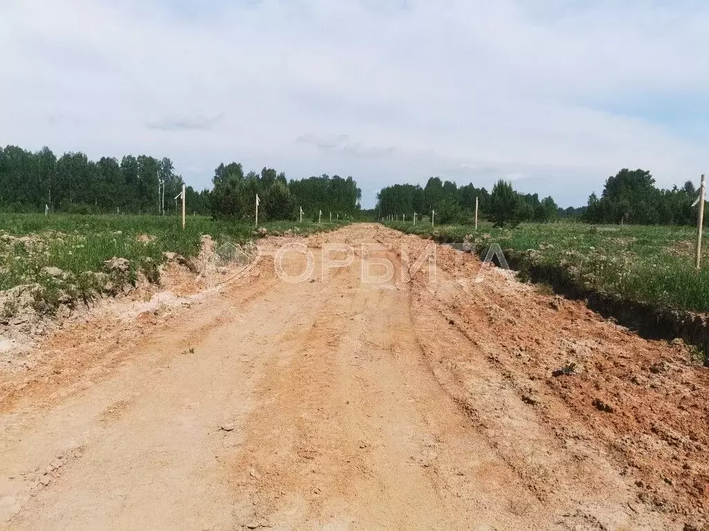 Участок в Тюменская область, Тюменский район, с. Каменка, Завидово кп  ... - Фото 1