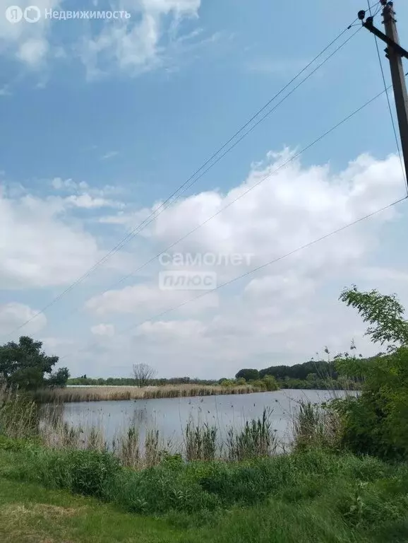 Дом в хутор Бураковский, улица Чапаева, 14 (37 м) - Фото 1