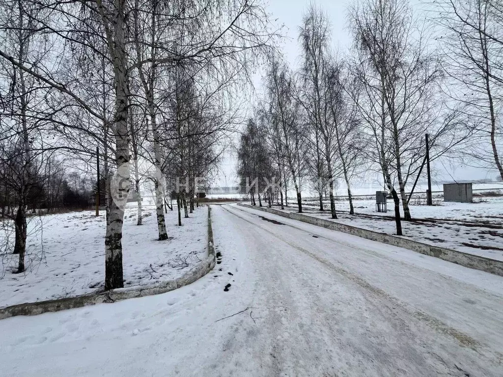 Производственное помещение в Рязанская область, с. Захарово  (4260 м) - Фото 1