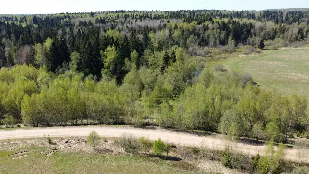 Участок в Московская область, городской округ Домодедово, посёлок ... - Фото 2