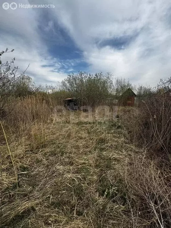 Участок в Омск, садоводческое некоммерческое товарищество Дары Сибири, ... - Фото 0