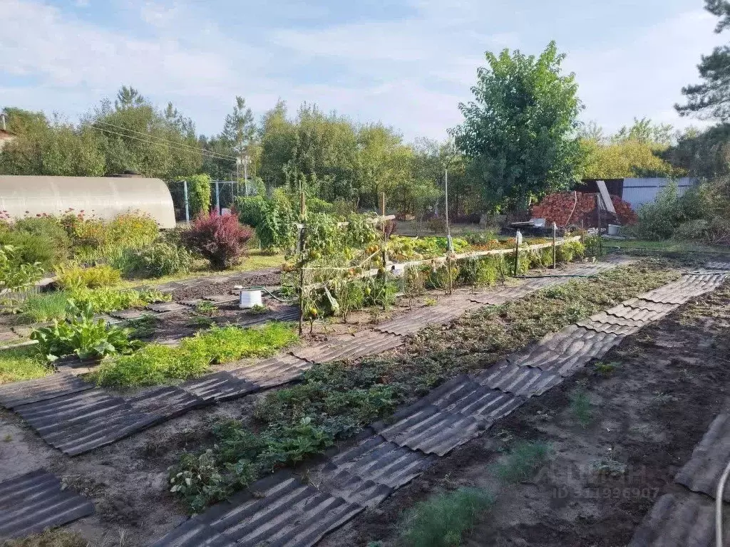 Участок в Воронежская область, Воронеж Березка СНТ, 21-я линия (5.9 ... - Фото 1