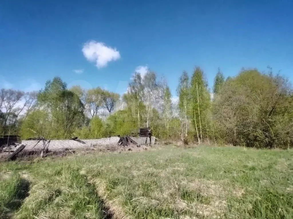 Участок 6 сот. (ИЖС) - Фото 0