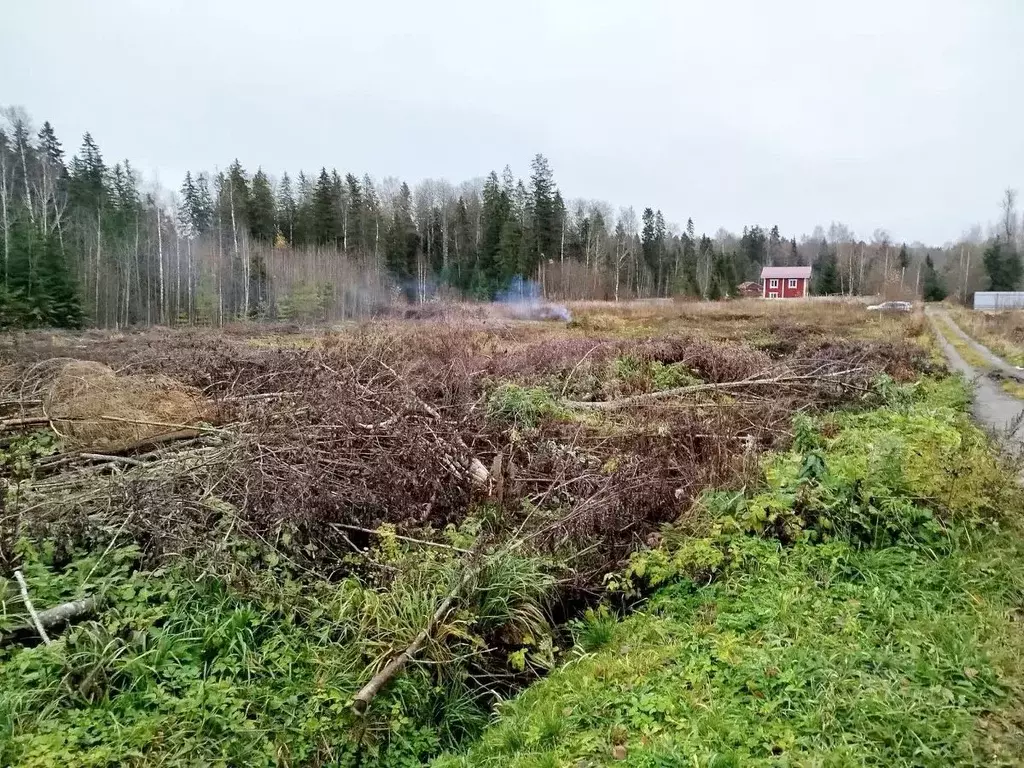 Участок в Вологодская область, Березка-3 садоводческое товарищество  ... - Фото 1