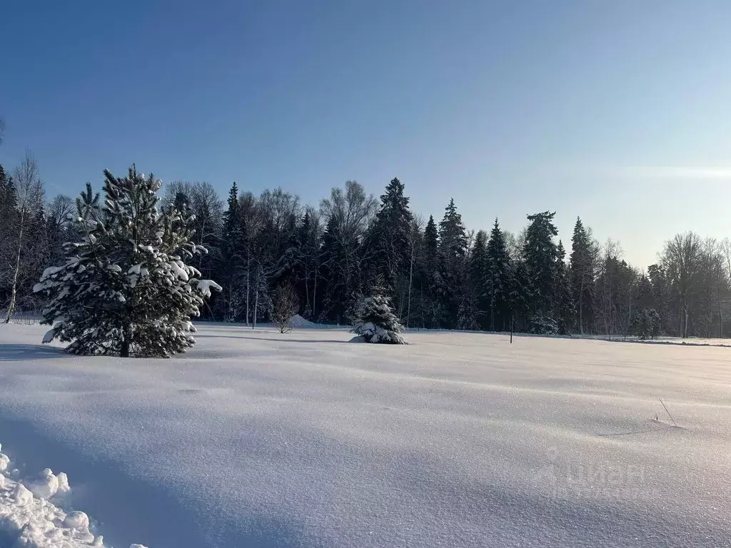Участок в Московская область, Истра муниципальный округ, д. Дубровское ... - Фото 1