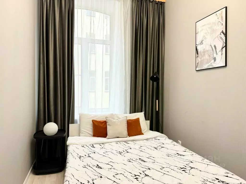 1-к кв. Санкт-Петербург Пушкинская ул., 9 (16.0 м) - Фото 1