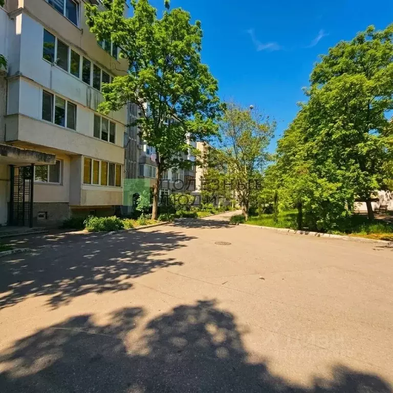 1-к кв. Севастополь ул. Хрусталева, 127 (34.8 м) - Фото 1