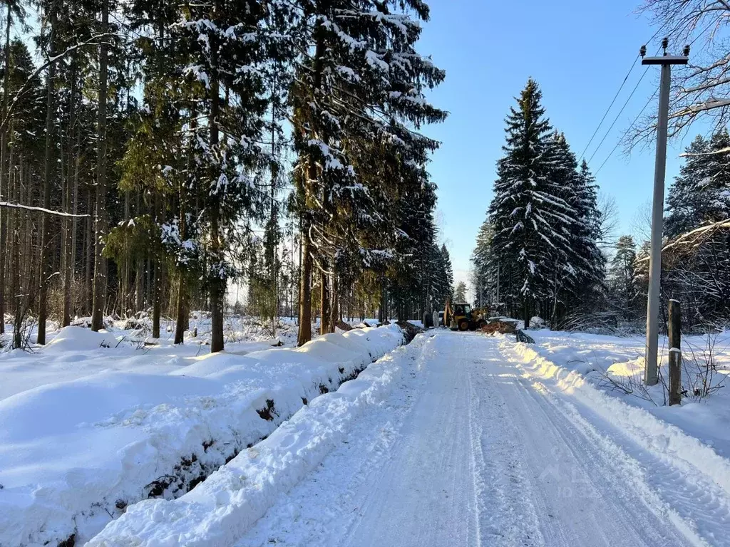 Участок в Московская область, Рузский муниципальный округ, д. ... - Фото 2