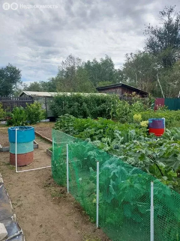 Участок в Чита, СНТ Биофабрика (5.45 м) - Фото 2