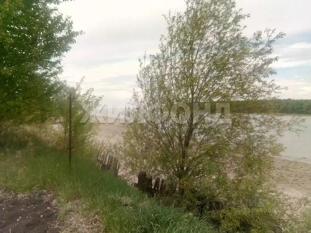 Участок в Новосибирская область, Ордынский район, д. Милованово ... - Фото 0