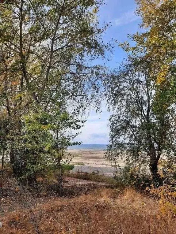 Участок в Самарская область, Шигонский район, Подвалье с/пос, пос. ... - Фото 0