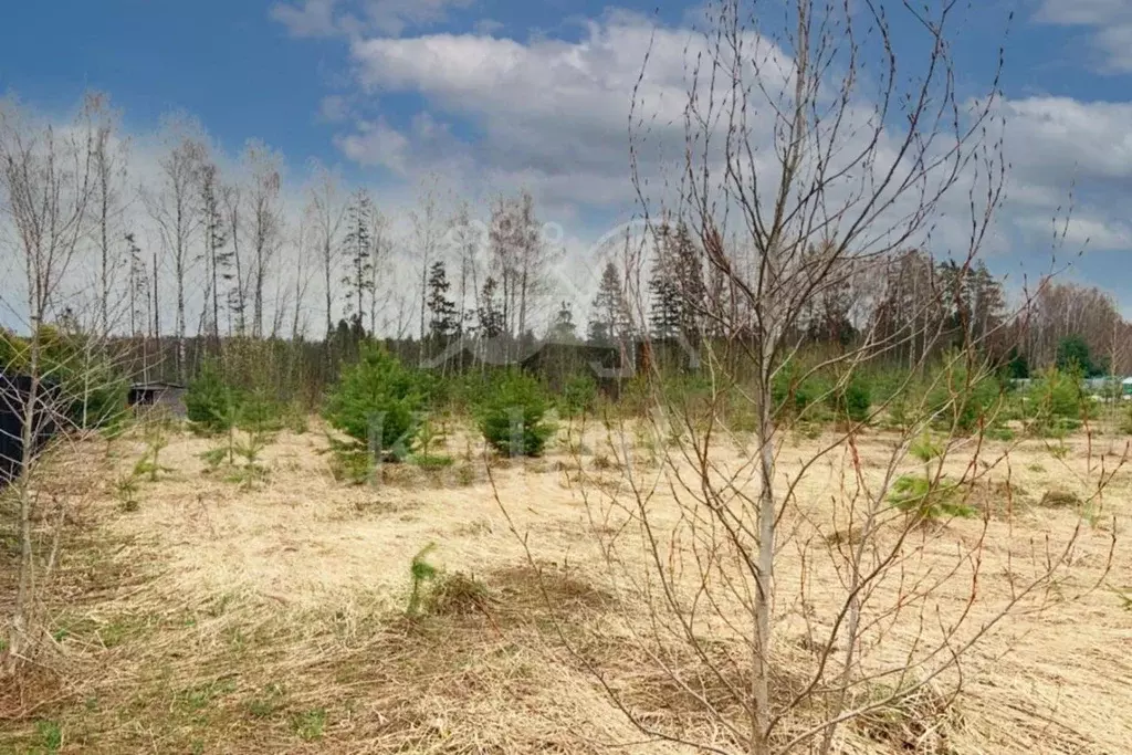 Участок в Московская область, Одинцовский городской округ, Мэдисон ... - Фото 1