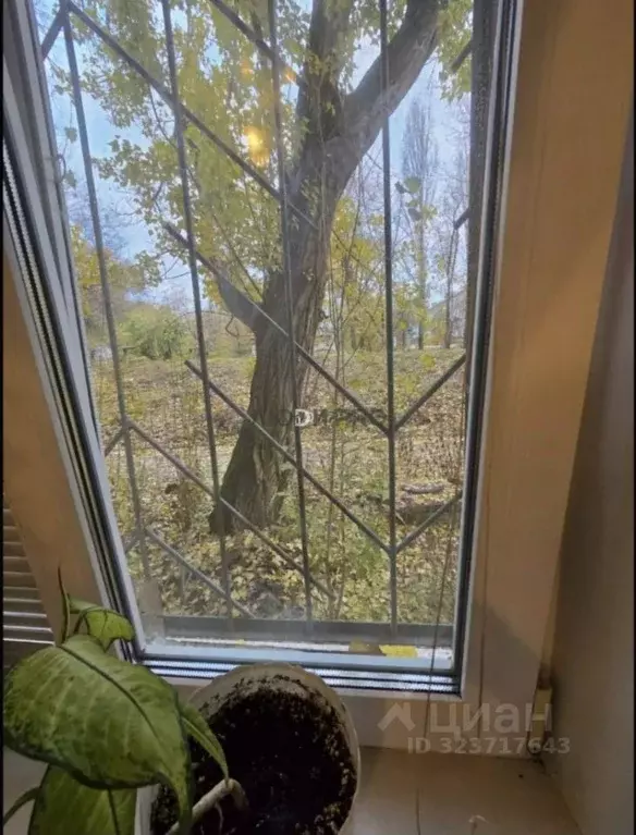 Комната Саратовская область, Саратов просп. Имени 50 лет Октября, 134А ... - Фото 2