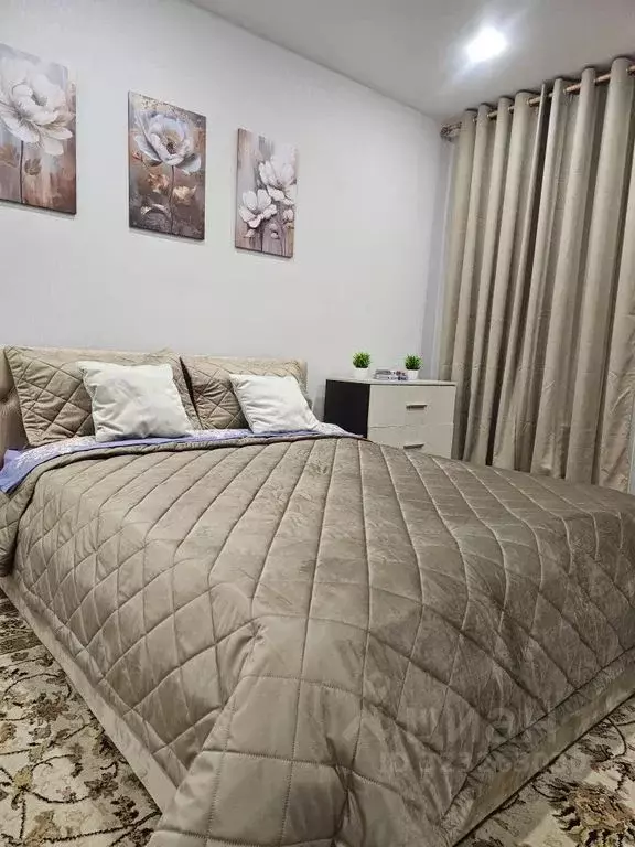 Студия Московская область, Ногинск Богородский городской округ, ул. ... - Фото 1