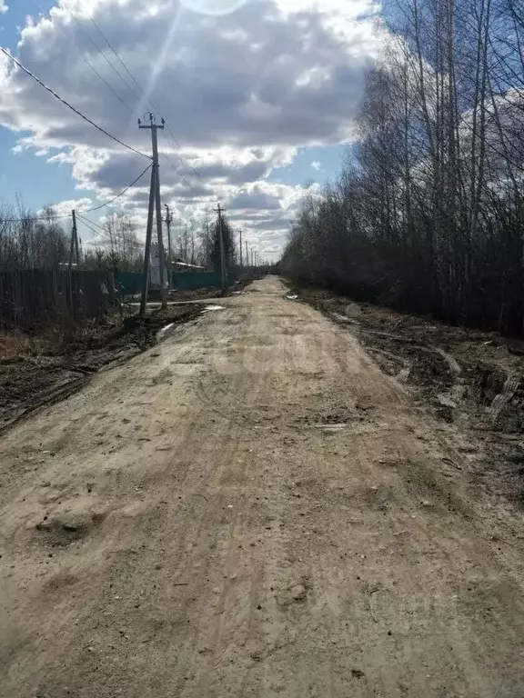 Участок в Вологодская область, Вологда Парус садоводческое ... - Фото 1