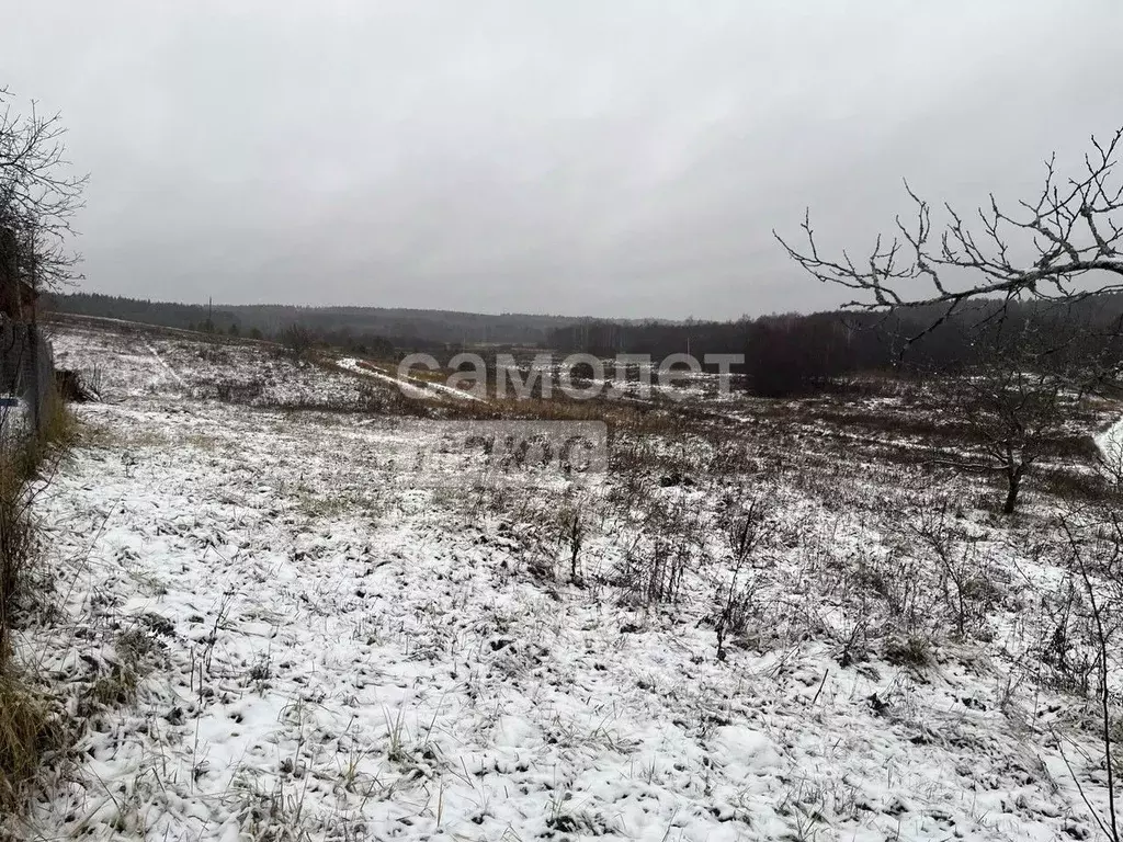 Участок в Владимирская область, Вязниковский район, Мстера ... - Фото 1