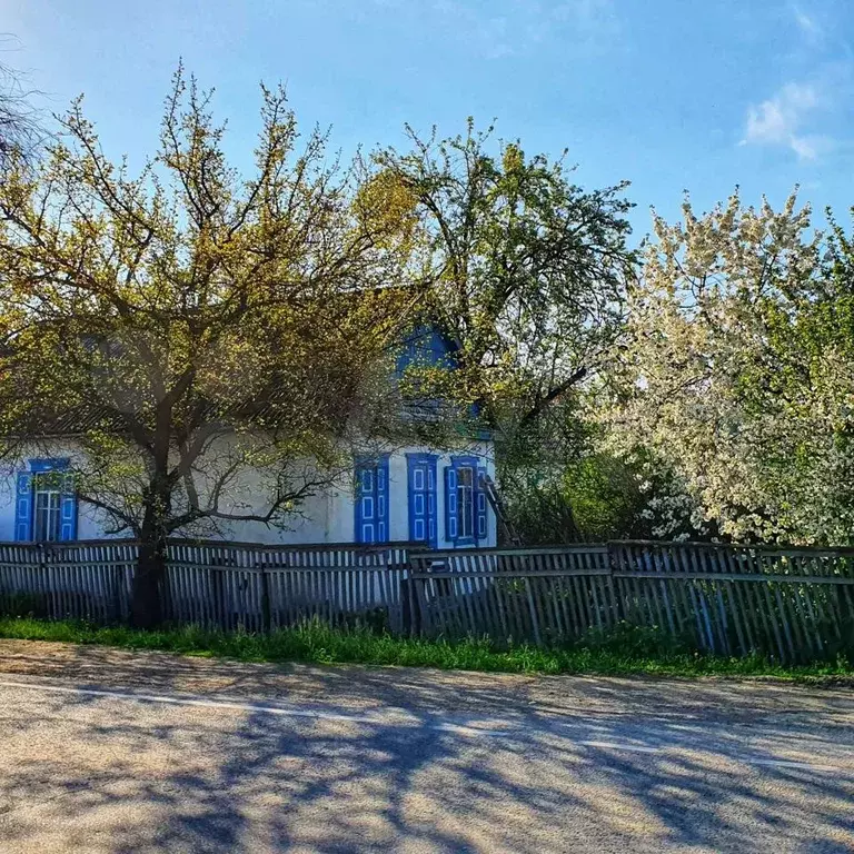 Поселок кубанский новопокровский район краснодарский край. Поселок Кубанский Краснодарский край. Посёлок Кубанский Краснодарский край Новопокровский. Кубанское поселение Новопокровского района. Пос Кубанский Краснодарский край Новопокровский район Толстого 3.