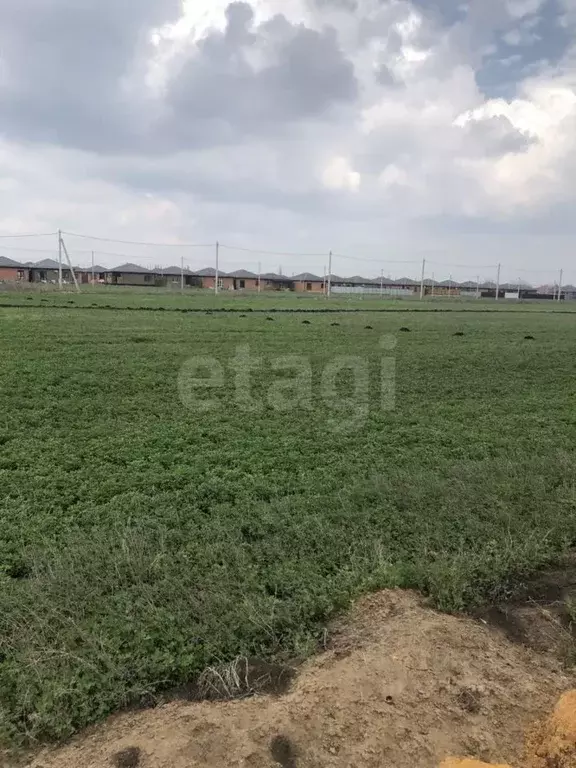 Участок в Ростовская область, Мясниковский район, Краснокрымское ... - Фото 1