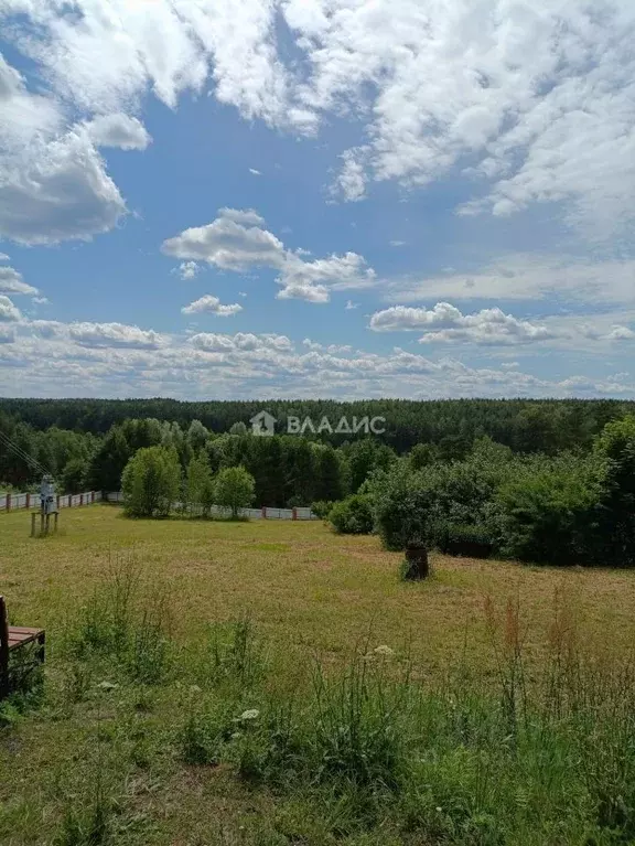 Участок в Владимирская область, Селивановский муниципальный округ, ... - Фото 1