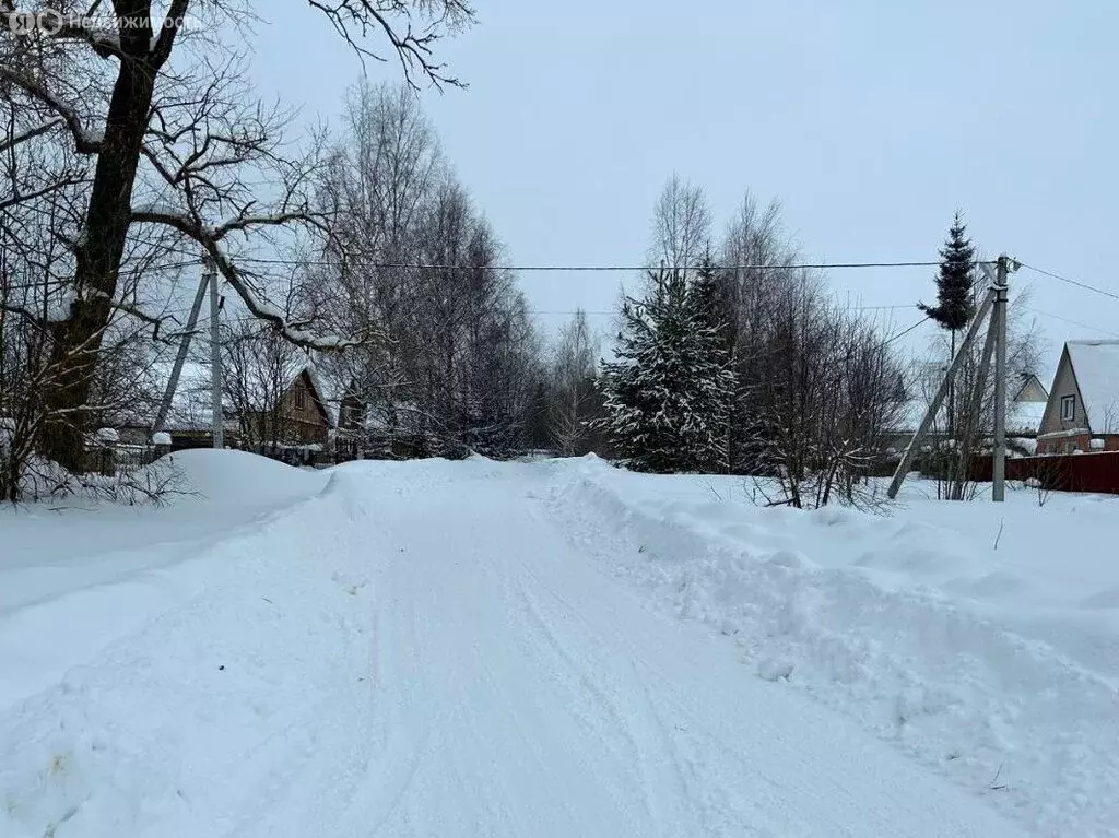 Участок в Владимирская область, Александровский муниципальный округ, ... - Фото 1