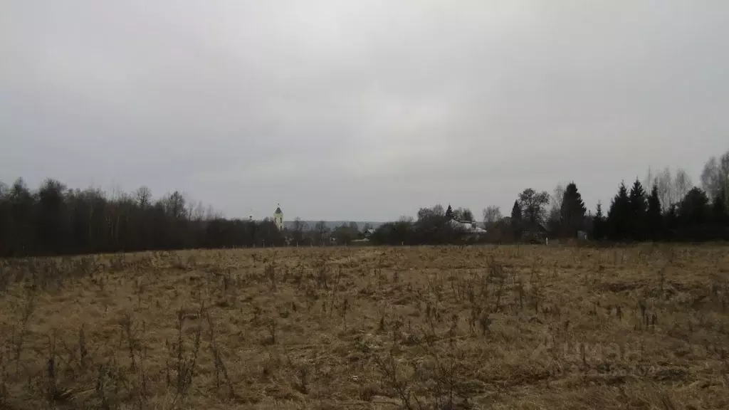Участок в Московская область, Рузский муниципальный округ, с. ... - Фото 1