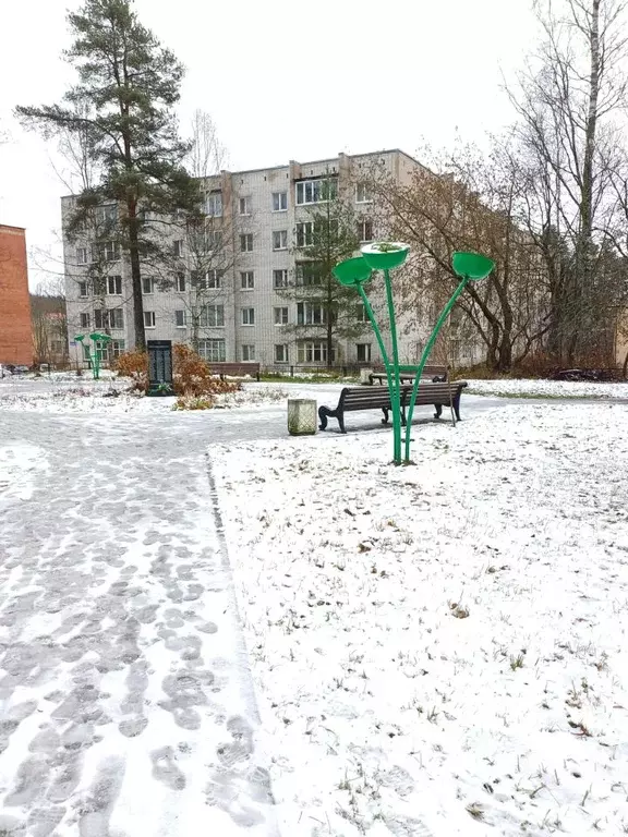 3-к кв. Ленинградская область, Выборгский район, Первомайское с/пос, ... - Фото 1