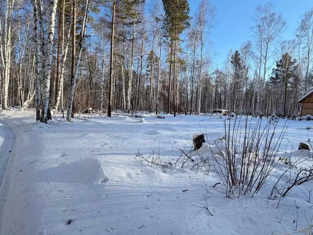 Участок в Иркутская область, Иркутский муниципальный округ, Ангарские ... - Фото 1