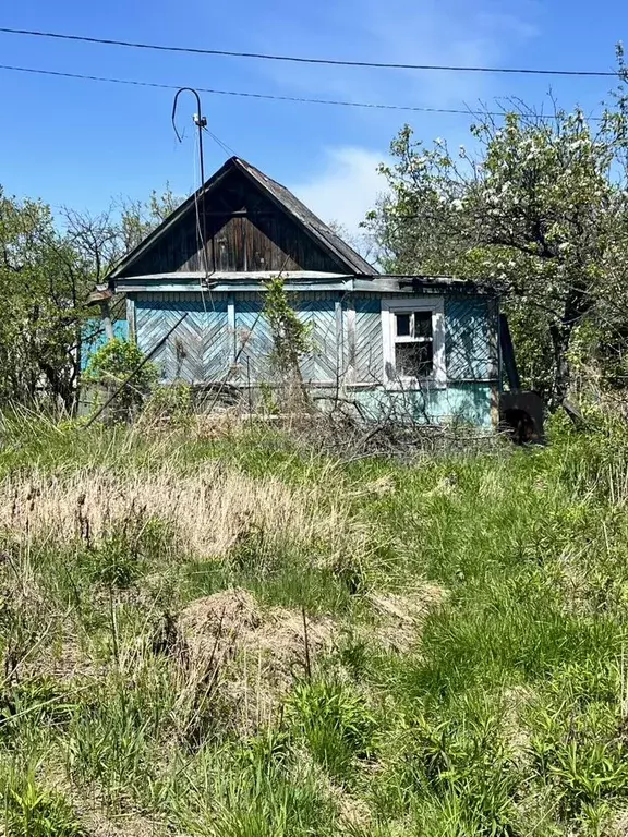 Участок 6,9 сот. (СНТ, ДНП) - Фото 1