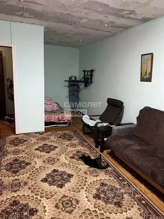 1-к кв. Липецкая область, Липецк ул. Ленина, 7 (39.0 м) - Фото 0