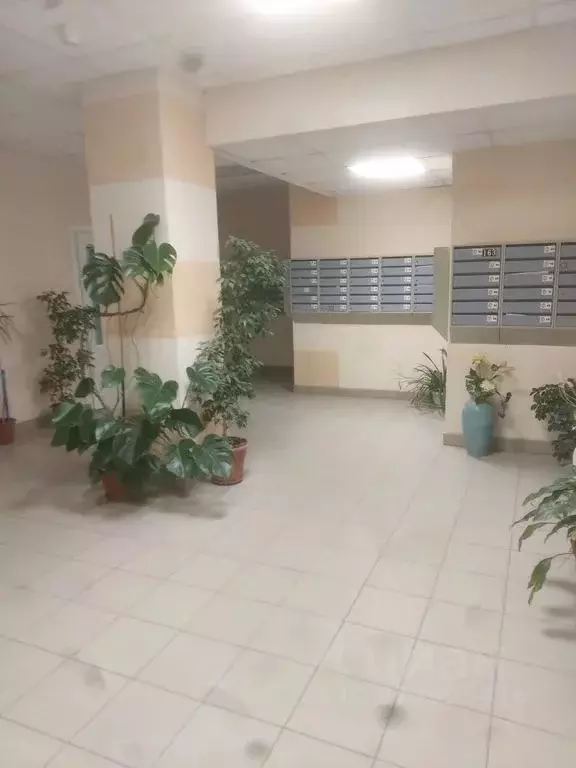 1-к кв. Волгоградская область, Волгоград Новороссийская ул., 2К (42.0 ... - Фото 2