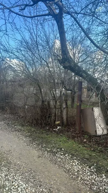 Участок 6,5 сот. (СНТ, ДНП) - Фото 1