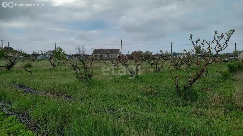 Участок в Сакский район, село Ивановка (37 м) - Фото 1