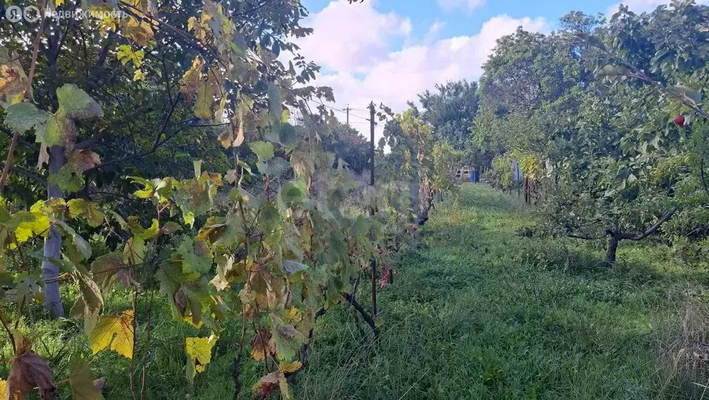 Дом в Витязево, улица Мира (76 м) - Фото 2