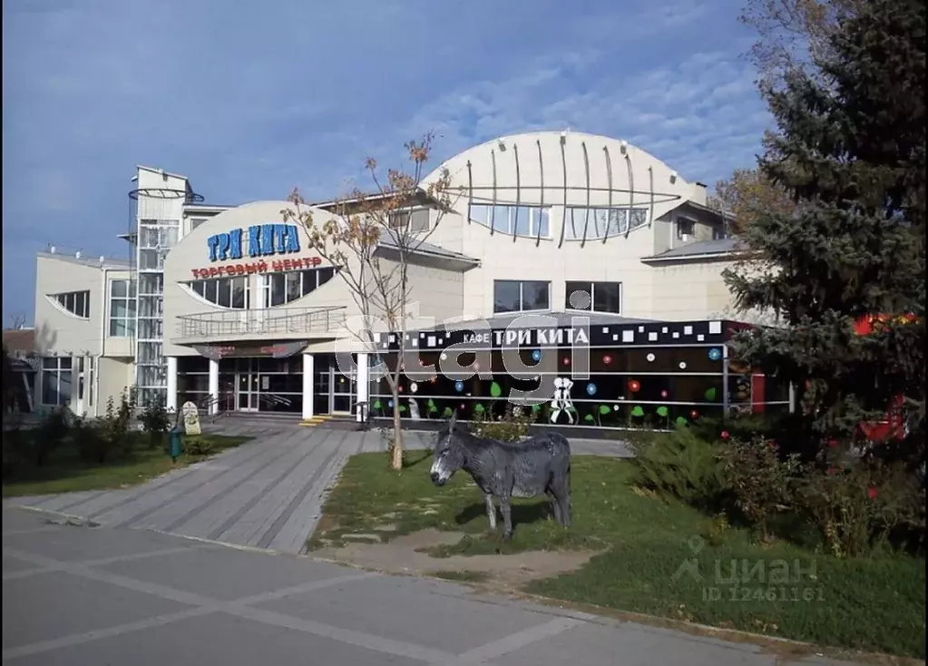 Торговая площадь в Краснодарский край, Анапа Крымская ул., 161 (24 м) - Фото 0