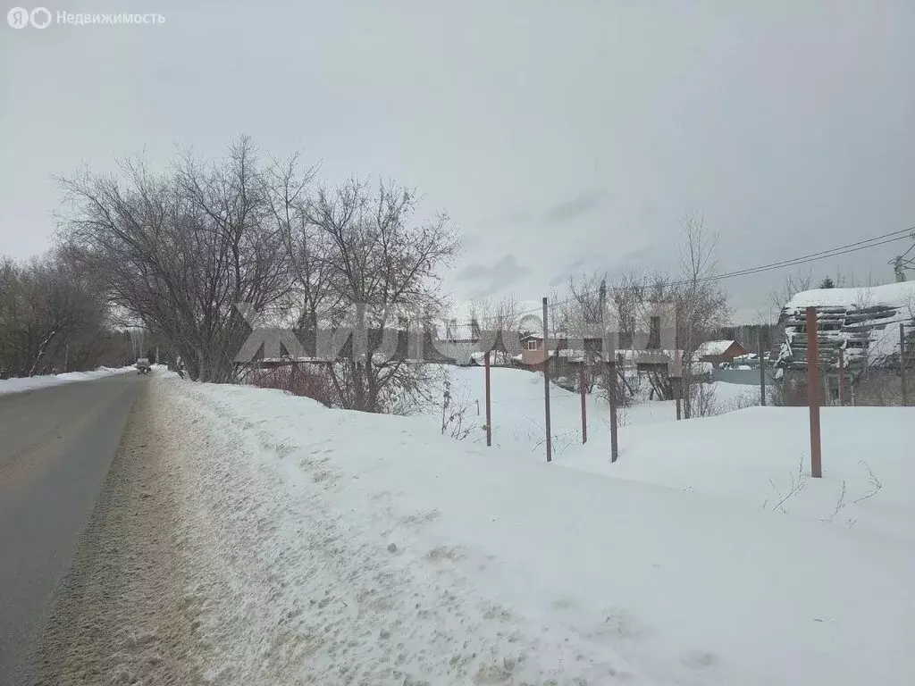 Участок в Новосибирск, СНТ Буревестник Пашинский (5.52 м) - Фото 1