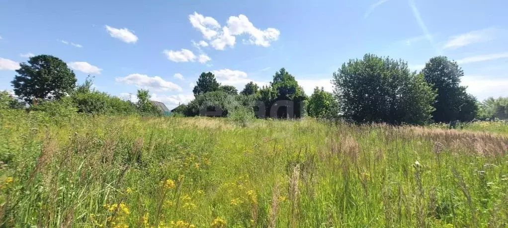 Участок в Владимирская область, Ковровский муниципальный округ, с. ... - Фото 1