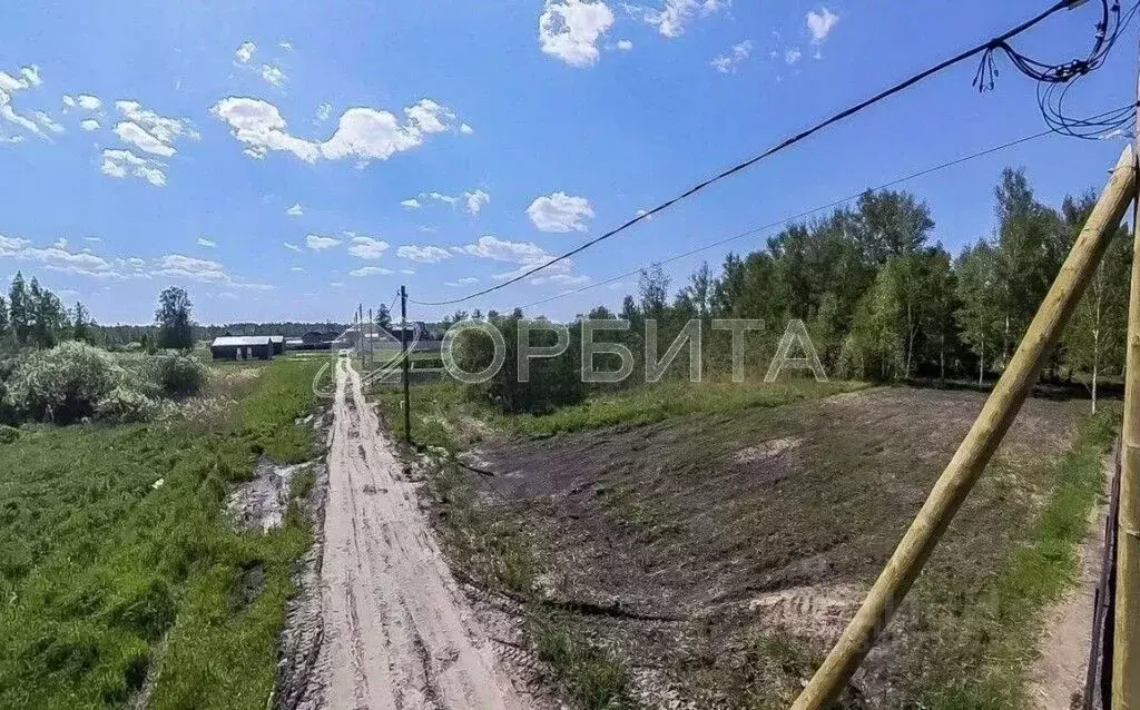 Участок в Тюменская область, Тюменский район, с. Каменка, Подушкино ... - Фото 2