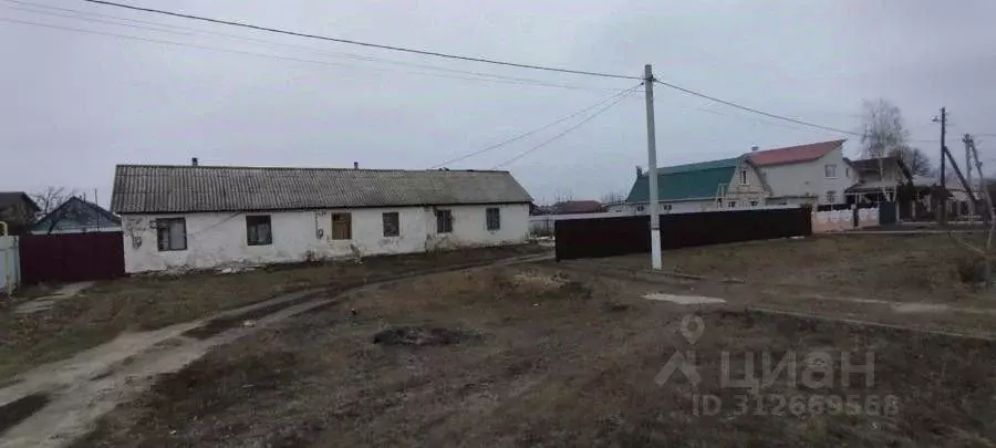 Участок в Воронежская область, Новоусманский район, пос. Отрадное ул. ... - Фото 1