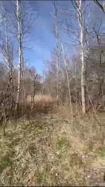 Участок 8 сот. (СНТ, ДНП) - Фото 1