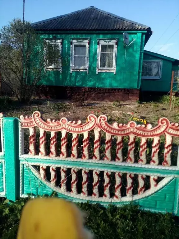 Дом 59,2 м на участке 50 сот. - Фото 0